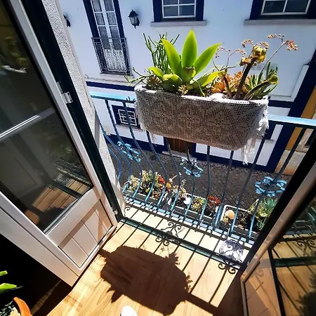 Apartment Charming Portuguese Style Apartment, For Rent 