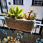 Charming Portuguese Style Apartment, For Rent Vida à Portuguesa, Gaivota Local *
